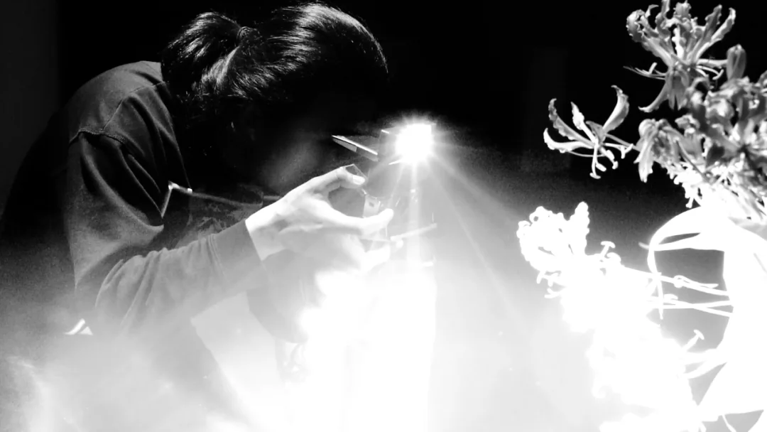 "Real Image" | Photography,
