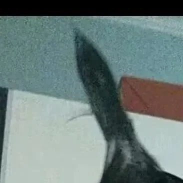 ,