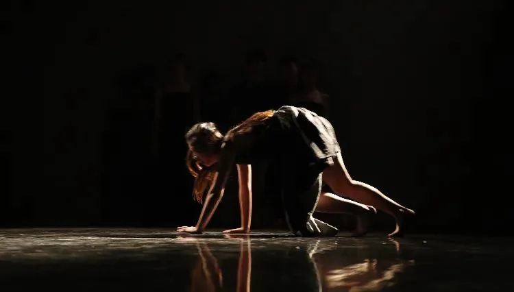 《Cocoon House》 ( )--P4 Theater ""