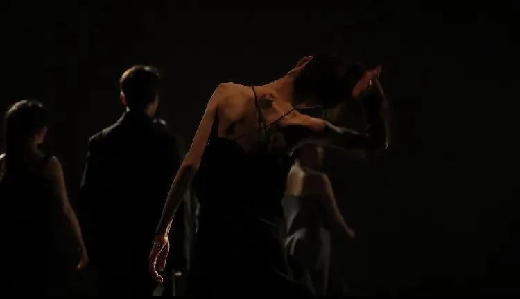 《Cocoon House》 ( )--P4 Theater ""